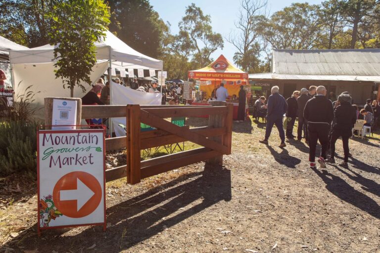 Harvest Festival 2025: Here Is Everything You Need To Know About The Upcoming Festival